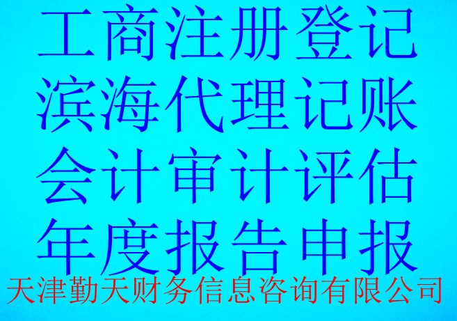 天津工商注册代理天津滨海公司注册执照代理塘沽办照公司