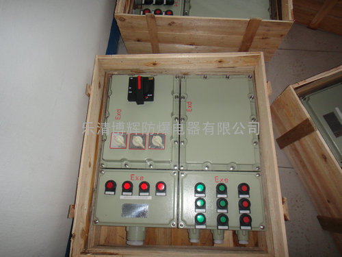 BXMD51系列防爆照明（动力）配电箱|带漏电保护装置