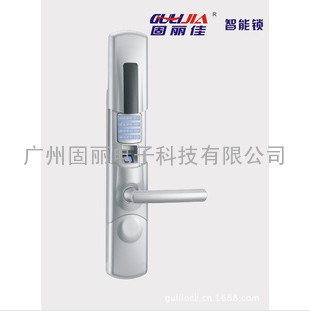 专业生产 家庭防盗智能指纹门锁 GLJ-5001-FS