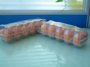 鸡蛋吸塑托盘价格