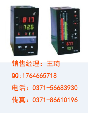 虹润 HR-WPP-XD825 模糊PID自整定调节器 温控器