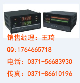 虹润仪表 光柱显示手动操作器 型号 HR-WP-XD835