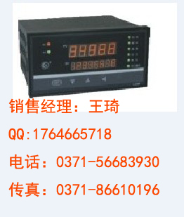 流量积算控制仪 HR-WP-XLC802 虹润仪表 正品