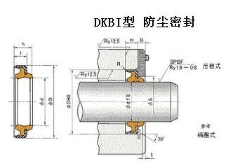 NOK高压用旋转油封TCV-TCN LBI型防尘密封件