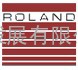 德国罗兰（ROLAND）金属检测系统