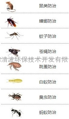 天津专业灭蚂蚁，天津杀虫公司，天津灭虫公司，天津灭蟑螂公司