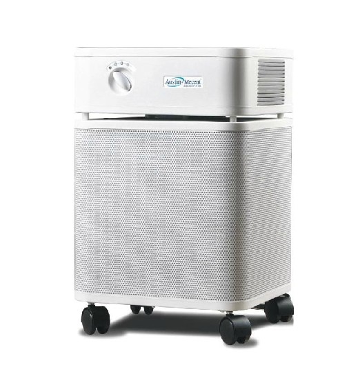 美国奥司汀空气净化器家用节能静音卧室 客厅除异味HM400健康型