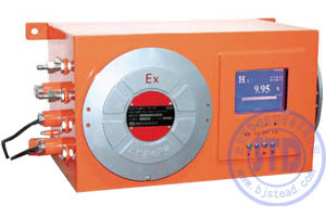 QRD-1102C Ex 氢气分析仪