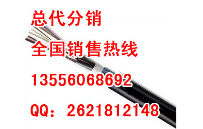 正品TCL室外光缆价格《》TCL4芯6芯8芯光缆报价