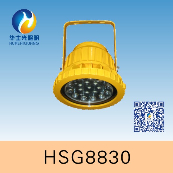 HSG8830/BTC8830LED防爆投光灯