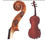 无锡学乐器田园中二级小提琴