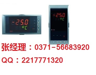 新虹润，NHR-1100系列简易数显表，正品折扣