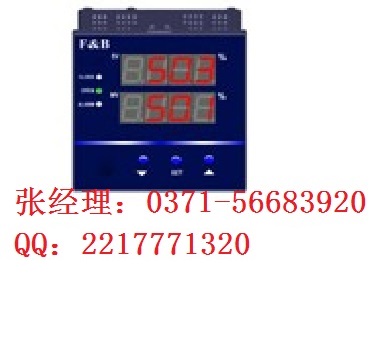 DFD5000，手操器，百特工控，说明书，选型，DFD506V