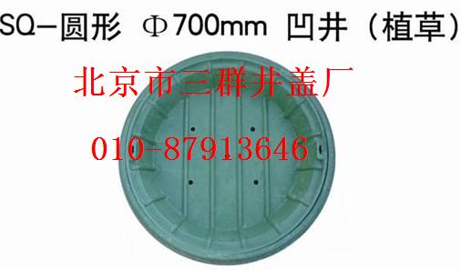 北京园林植草井盖/种草树脂井盖700X120
