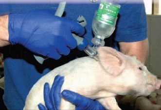 装瓶连续注射器 给猪注射疫苗用注射器