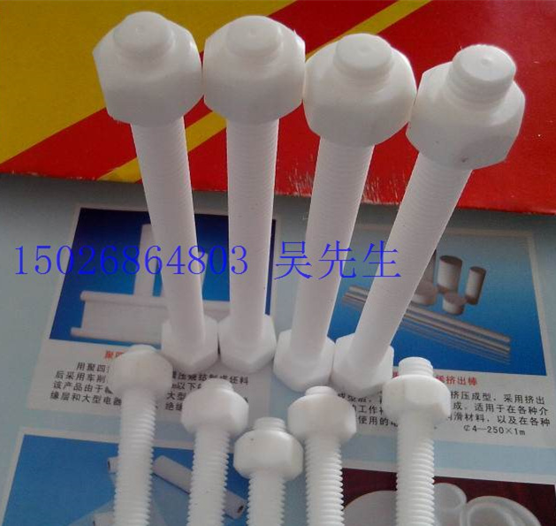 PTFE螺丝/耐腐蚀塑料螺丝