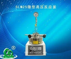 西安批量生产slm25微型高压反应釜