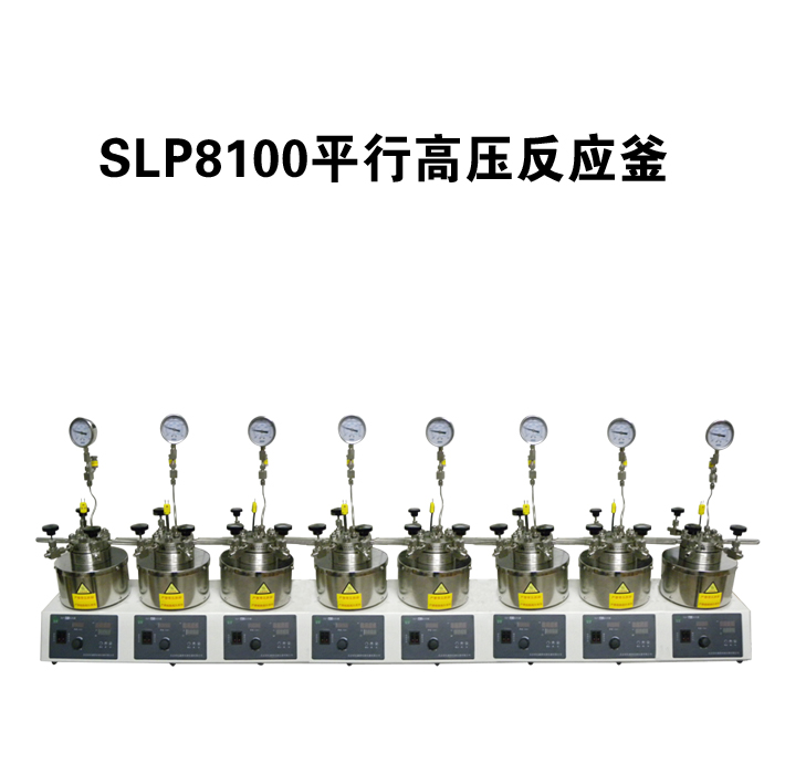 苏州大量销售slp8100平行高压反应釜