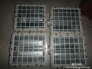 BAT51LED-80 防爆灯（LED）