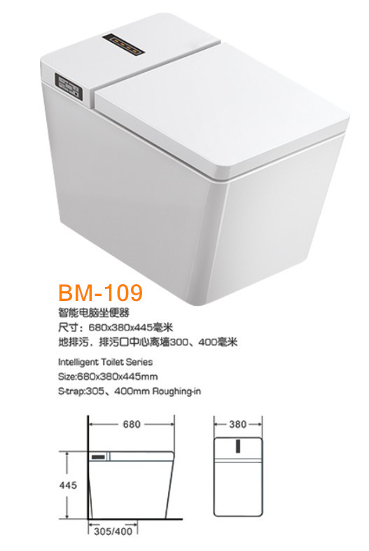 BZ-109潮州智能马桶批发