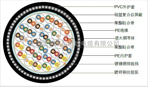 BS5308标准PE绝缘铠装仪表电缆