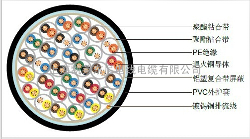 BS5308标准 非铠装仪表电缆