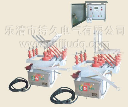 ZW10-12双电源真空断路器