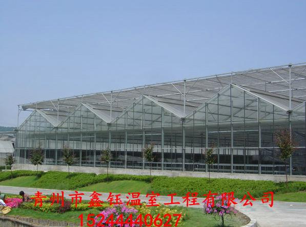 青州鑫钰建设智能温室，蔬菜大棚的设计和造价