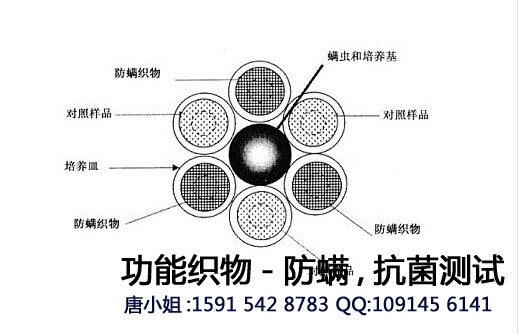 浙江防螨测试-抗菌抑螨测试