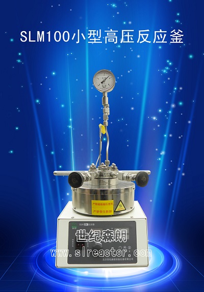 云南销售SLM100小型高压反应釜