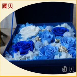 蓝保鲜花玫瑰