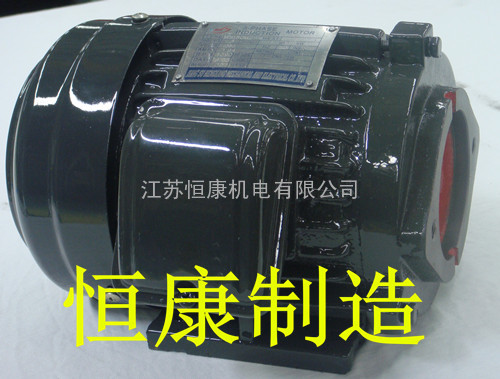 VP20泵配套油泵电机