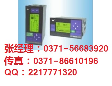 SWP-LCD-NLQ812热量积算无纸记录仪,河南昌晖