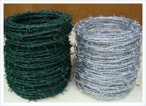 供宁夏银川刺绳和甘肃兰州不锈钢网质优价廉