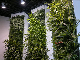360立体绿化新技术，有氧墙体绿化设计