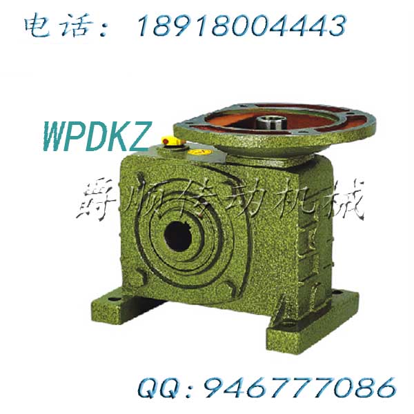 WPDKZ135-4KW-1/60老式蜗轮蜗杆减速机