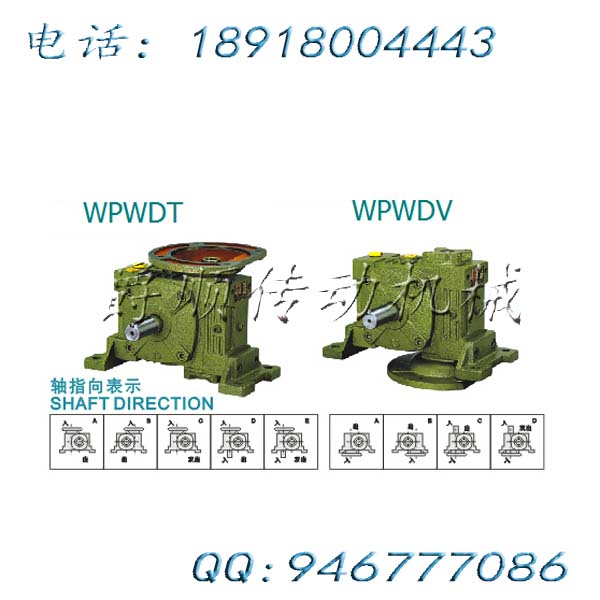 WPWDT250-15KW-1/60老式蜗轮蜗杆减速机