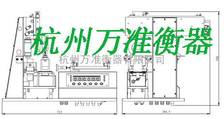 自动检重秤WZ65-300