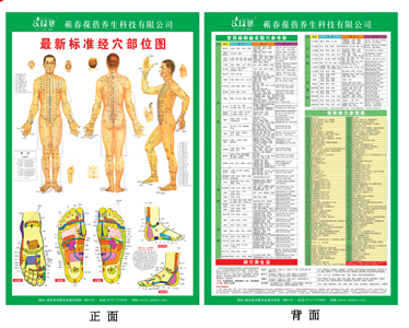 艾葆蓓/艾灸穴位图  人体经络图