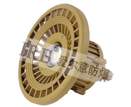 BRE8640防爆灯(30W-90W)