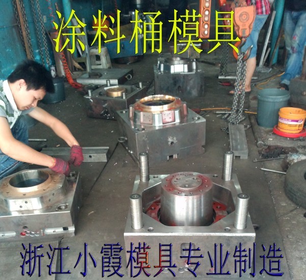 19L涂料桶模具生产厂，台州哪里模具最好