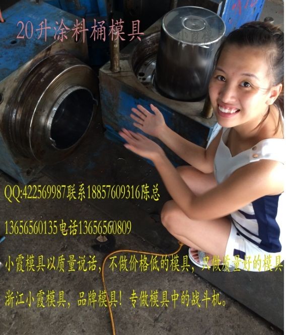 浙江18L涂料桶模具，台州模具价格咨询