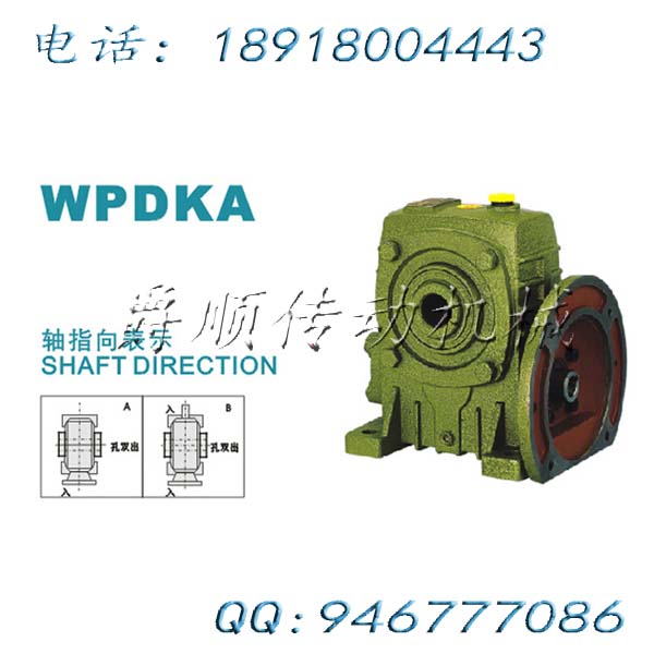 WPDKA200-11KW-60老式蜗轮蜗杆减速机