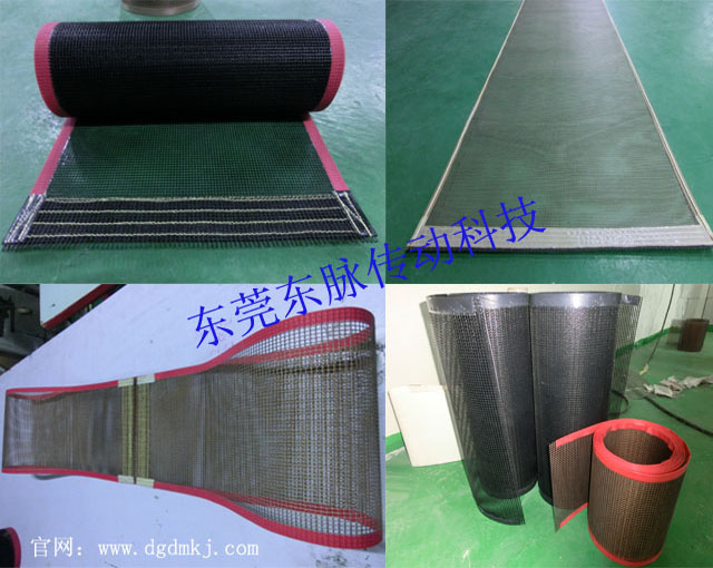 供应优质进口特氟龙网带