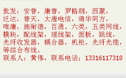 广东广州TCL超五类非屏蔽网络跳线厂家