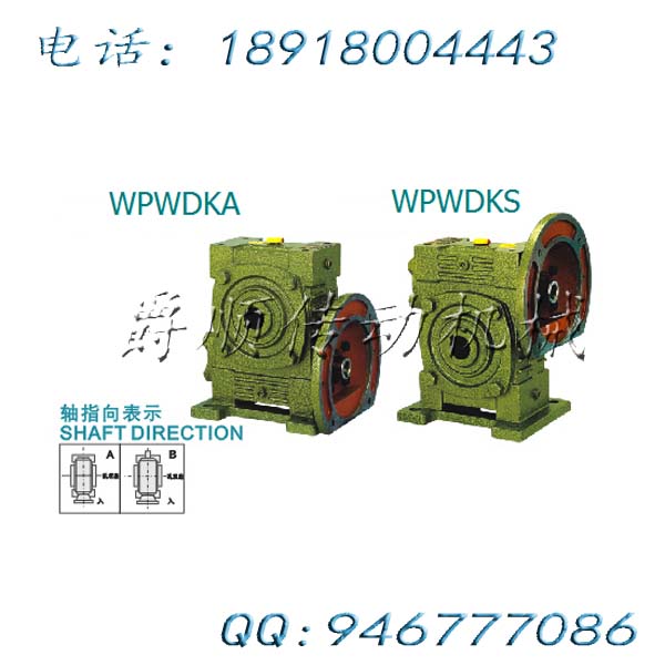 WPWDKS250-15KW-60老式蜗轮蜗杆减速机