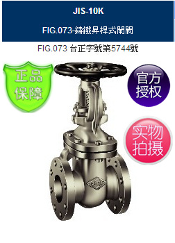 FIG.073东光铸铁闸阀-上海RING东光铸铁升杆式闸阀