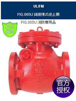 FIG.065U消防止回阀-台湾RING东光FM认证消防止回阀