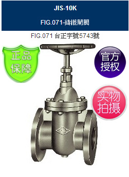 RING东光FIG.071法兰闸阀-FIG.071铸铁闸阀台湾东光