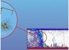 浮游动物声学探测 浮游动物在线监测系统